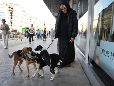 Veste minunată, dar cu reguli clare. Ce trebuie să facă cei care au animale, dacă vor cu ele în STB