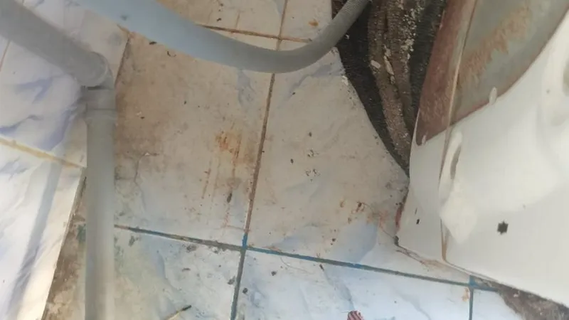 A închiriat o locuință în Constanța pentru a sta toată vara: „Am luat o bâtă să dau șobolanii” - Foto: replicaonline.ro