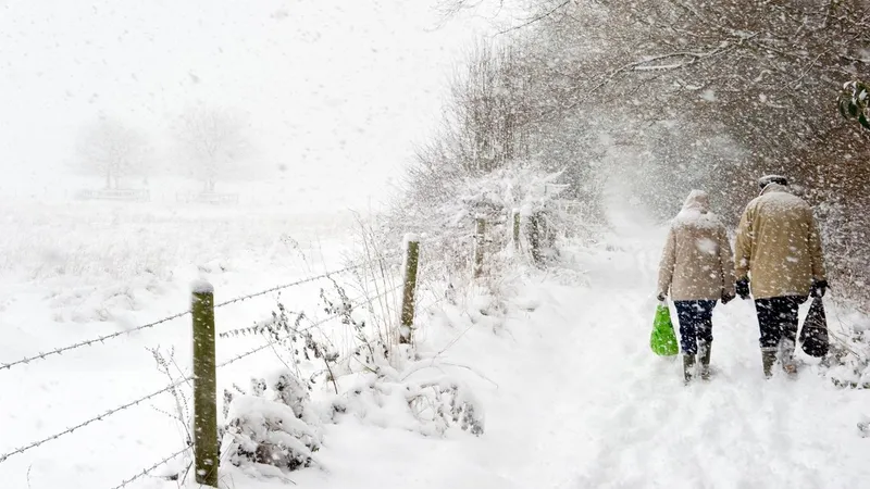 Un vortex polar se îndreaptă spre România. Când vin ninsorile, viscolul și temperaturi de -10 °C - Foto: Profimedia images