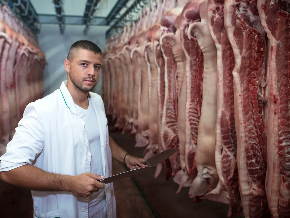 Salariu 4.500 €/lunar pentru românii care vor să lucreze în industria cărnii. Care sunt condițiile? - Foto: Freepik (rol ilustrativ)