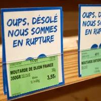 Criză fără precedent, în Franța: Din cauza climei și a războiului, e penurie de muștar de Dijon. / Foto: Profimedia