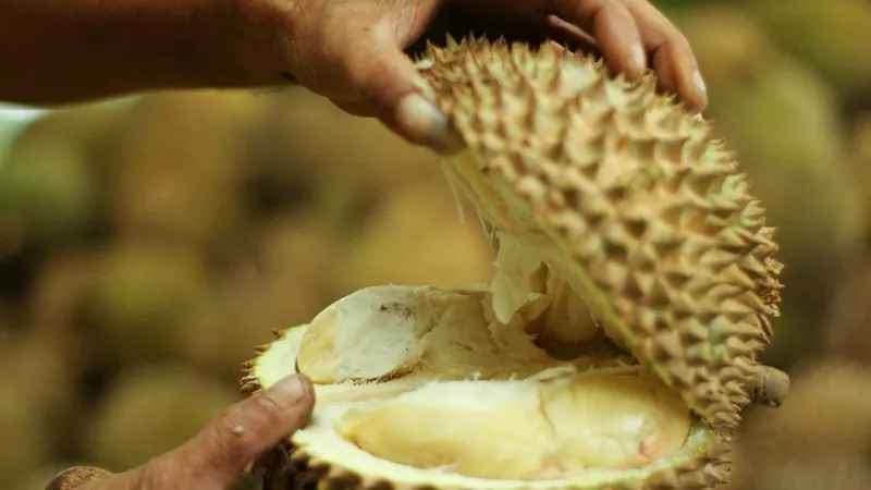 Fruct Durian desfăcut - Foto: Getty (rol ilustrativ)