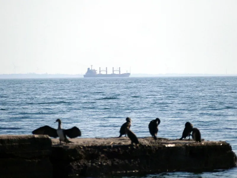 Ucraina vrea să spargă blocada cerealelor instrumentată de Rusia în Marea Neagră prin apele României - Foto: Profimedia Images