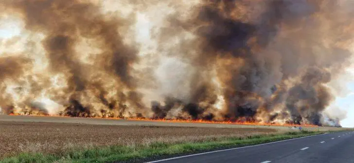 Incendiu cereale - Foto: Opinia Timișoarei