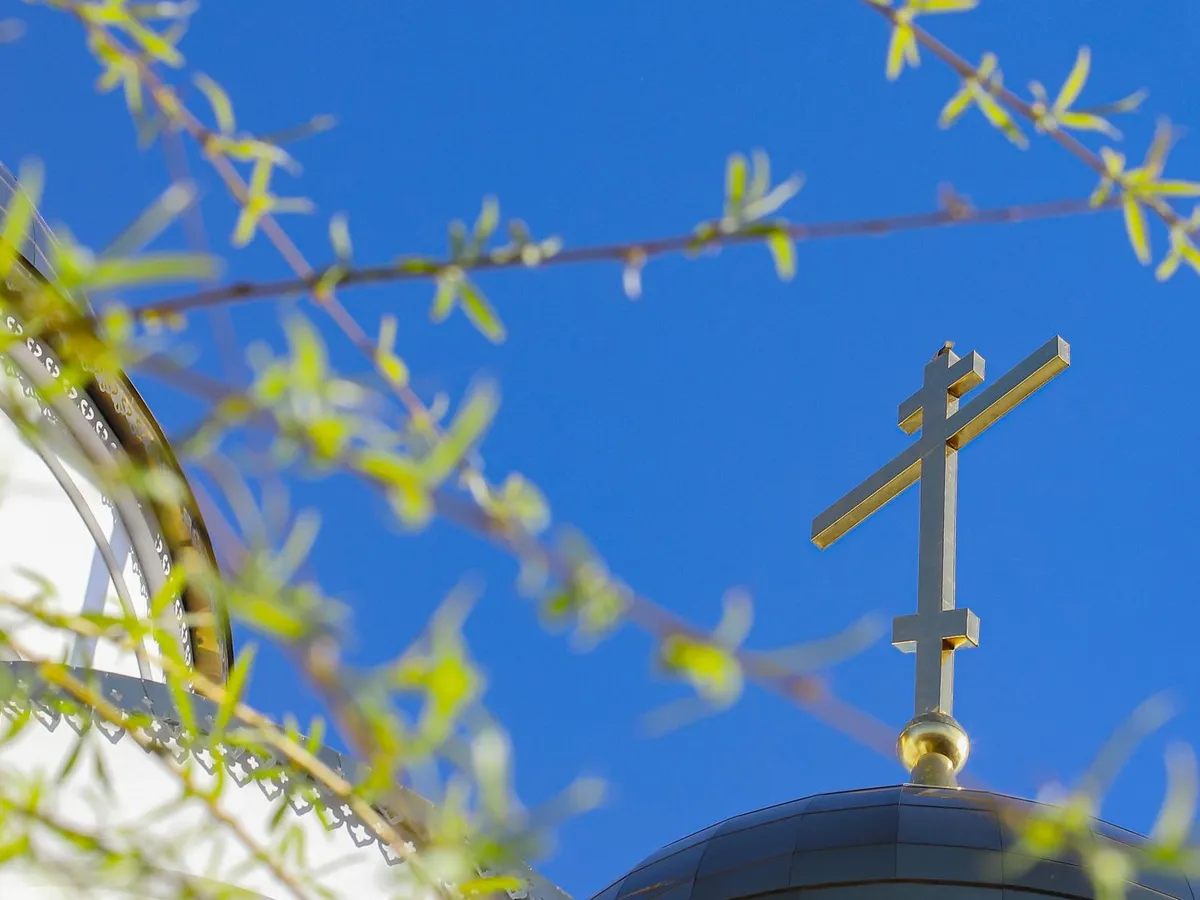 Nu face acest lucru de Florii! Tradiția spune că atragi răul în casă și pierzi norocul pe tot anul