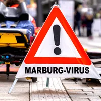 Virusul mortal Marburg a pus în alertă autoritățile din Hamburg. Gara centrală a fost evacuată Foto: Profimedia Images (fotografie cu caracter ilustrativ)