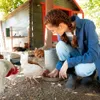Femeie care hrănește găinile - Foto: Magnific.com (Imagine cu rol ilustrativ)