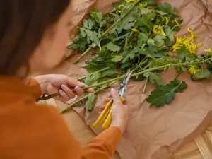Floarea din grădină cu beneficii neștiute pentru sănătatea. Mănânci petalele și rămâi tânăr - Foto: Freepik (imagine cu rol ilustrativ)