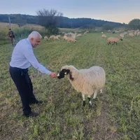 Daea hrănește oaia/FOTO: facebook.com