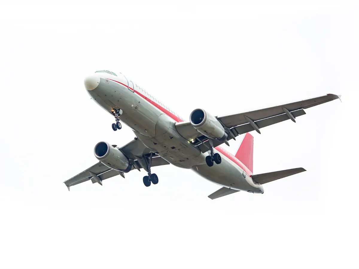 Revoluționar - combustibil pentru avioane fabricat din roșii. O universitate a făcut descoperirea uimitoare