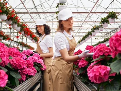 seră de flori - Foto: Freepik