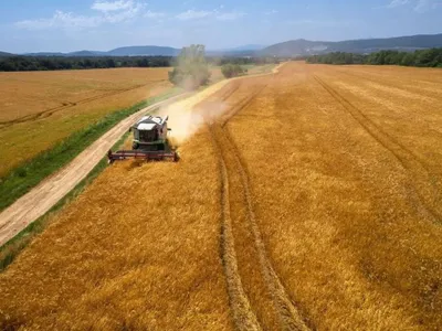 Ucraina cere Comisiei Europene revenirea la liberalizarea completă a importurilor de cereale în UE, imagine cu caracter ilustrativ - Foto: Arhivă