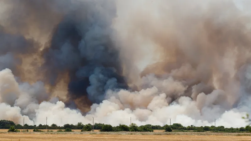 Mehedinţi: Temperaturile de peste 40 de grade îngreunează intervenţia pompierilor la incendii - FOTO: Inquam Photos / Cornel Putan