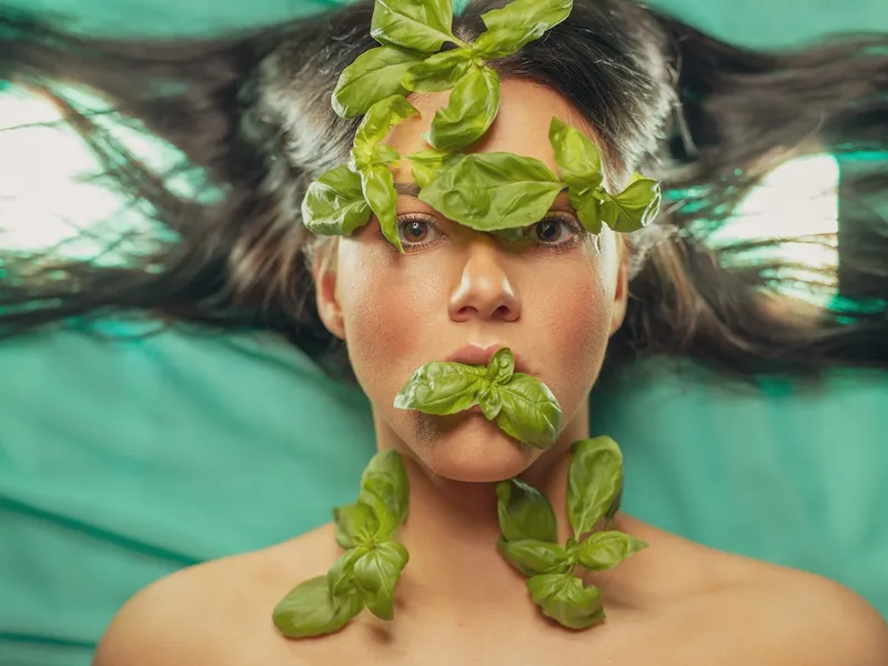 Ce înseamnă a freca menta Foto: Pixabay.com (imagine cu rol ilustrativ)