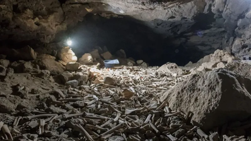Misterul peșterii din România unde s-au descoperit rămăşiţele celui mai vechi om din Europa - Foto: Arhivă/ Imagine cu caracter ilustrativ