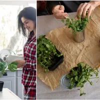 3 plante aromatice de avut în casă obligatoriu. Sunt magice: atrag norocul, liniștea și dragostea - FOTO: Freepik(imagine cu rol ilustrativ)
