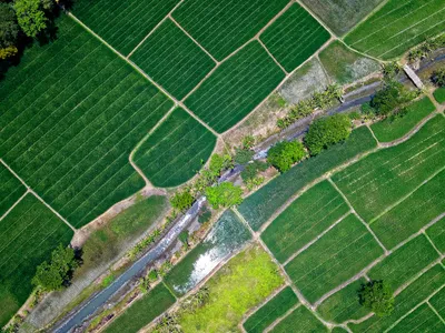 Tranzacțiile de terenuri vor putea fi făcute pe o aplicație. Vor fi trecute într-un registru unic Foto: Pexels (fotografie cu caracter ilustrativ)