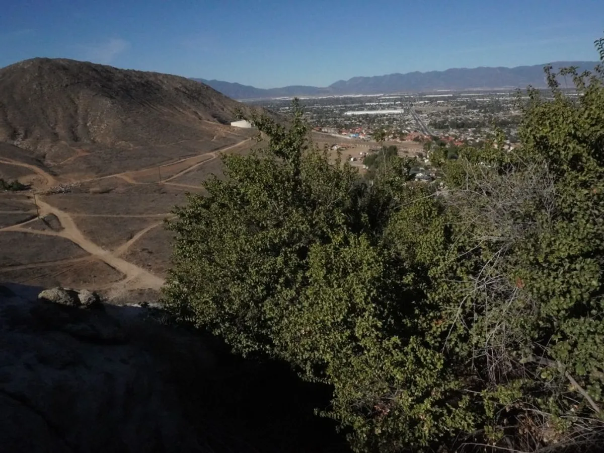 Vedere cu Valea Jurupa, din California, chiar din colonia Stejarului Jurupa - Foto: Profimedia Images