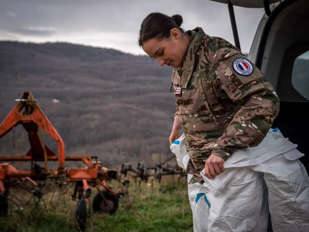 Stare de alertă, în Franța, din cauza unei epidemii! A fost trimisă armata să vaccineze bovinele