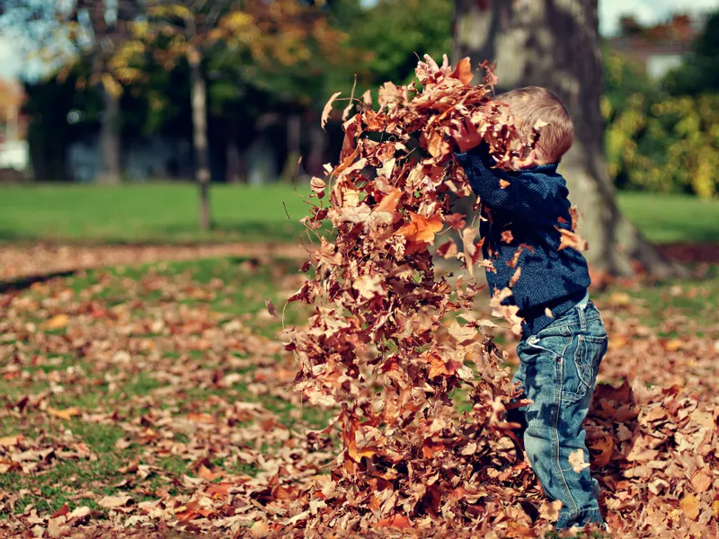 Vremea în Septembrie- Foto: PEXELS PHOTOS/Scott Webb