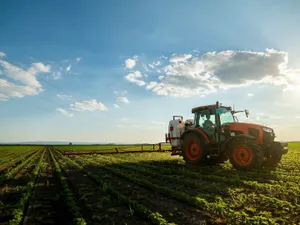 „Creditul Fermierului” le poate aduce românilor 50.000 euro în conturi, Ce condiții sunt? Foto: Shutterstock (fotografie cu caracte rilustrativ)