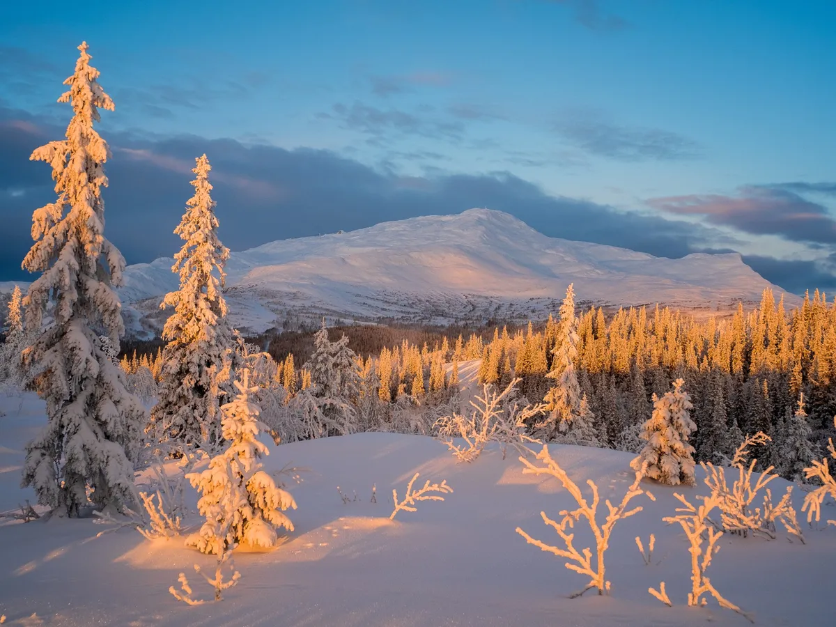 Ger foto: Freepik (imagine cu rol ilustrativ)