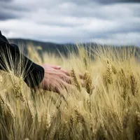 Meseria care se plătește cu 3000 € și de care fug românii. Nu ai nevoie de „școală" - Foto: Pexels.com (Imagine cu caracter ilustrativ)