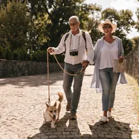 Se apropie momentul în care pensionarii vor primi plicul cu majorarea pensiilor. Perioade stabilite Foto: Freepik (fotografie cu caracter ilustrativ)