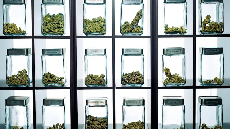 FUMURI GRELE Marijuana medicinală în diferite cantități și calități, la un magazin din Denver. Din februarie, Colorado are cel mai mare număr de astfel de magazine din SUA: 505 spații medicale și 520 recreaționale