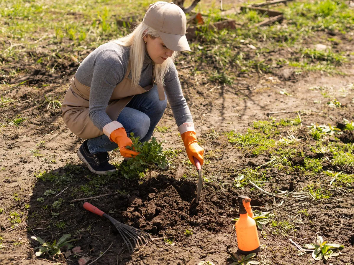 Ce bulbi să plantezi în grădină în luna noiembrie. Albinele îți vor salva plantele până la primăvară