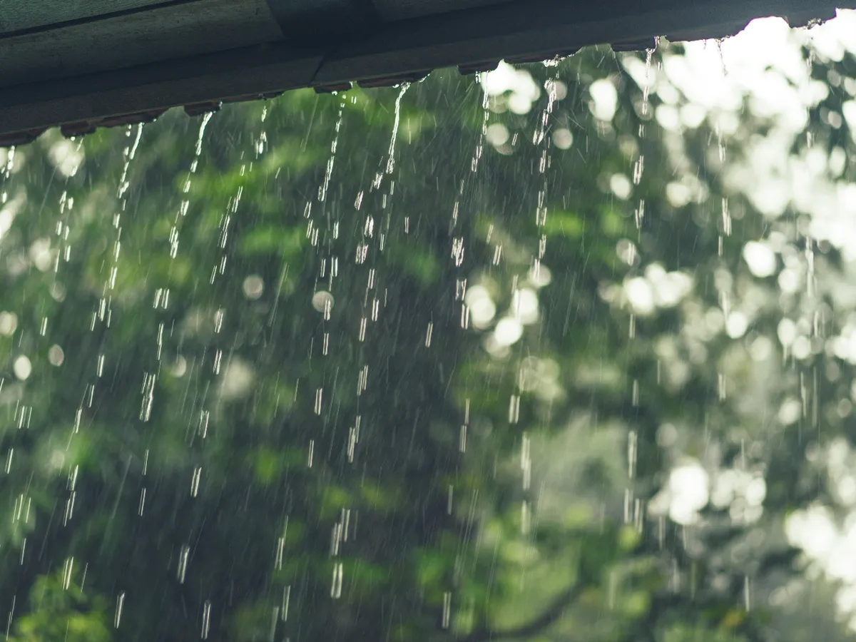METEO Ploile avansează în toate regiunile țării. Ce temperaturi vor fi în ultimele zile din martie Foto: Freepik (fotografie cu caracter ilsutrativ)