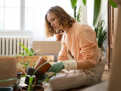 Motivul pentru care nu trebuie să ai plante moarte în casă. Ce faci dacă le ții de mult timp? - Foto: Freepik (Imagine cu rol ilustrativ)