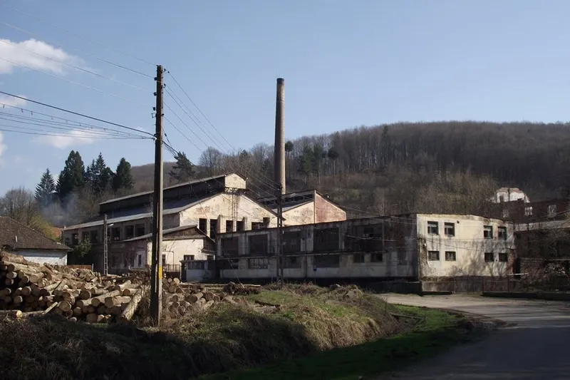Ruine fabrica sticla Padurea Neagra