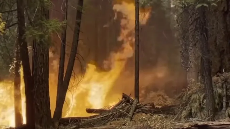 Si sudul Franței e amenințat de incendiile de vegetație. FOTO: Facebook