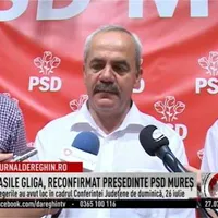 Vasile Gliga Foto: Captură video