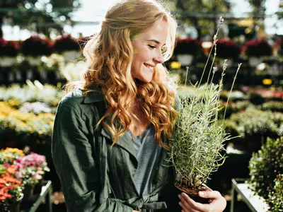 Motivul pentru care trebuie să pui crenguțe de rozmarin lângă pat. Cum te vei simți după ce te vei trezi? - Foto: Freepik (Imagine cu rol ilustrativ)