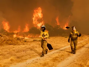 Spania se luptă cu 14 incendii de vegetație de amploare. Peste 150.000 de hectare, afectate - Foto: Profimedia Images