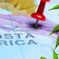 Costa Rica a autorizat producţia şi consumul de canabis în scop medicinal. / Foto: qcostarica.com