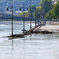 Budapesta, asaltată de șobolani după ce a fost inundată de Dunăre. Se poate și în România? - Foto: Profimedia Images