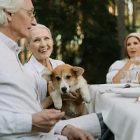 Boala Parkinson poate fi detectată de câini, din timp - Foto: Pexels (cu rol ilustrativ)