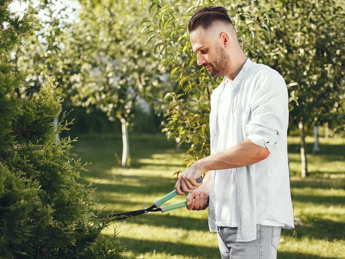 4 arbuști care trebuie neapărat tăiați în noiembrie. Recompensa va fi în primăvară