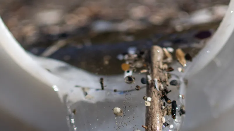 Microplasticul poate să fi ajuns şi în creier - Foto: Profimedia Images
