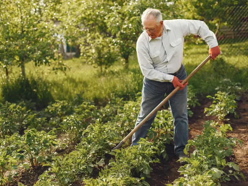 Care ani munciți nu se pun la pensie? Pensionarii pierd 400 de lei după recalculare. Anunț oficial - Foto: Freepik