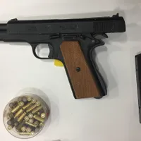Un ucrainean a încercat să între în România cu un pistol plin cu cartușe de calibru 8 mm - FOTO: Profimedia