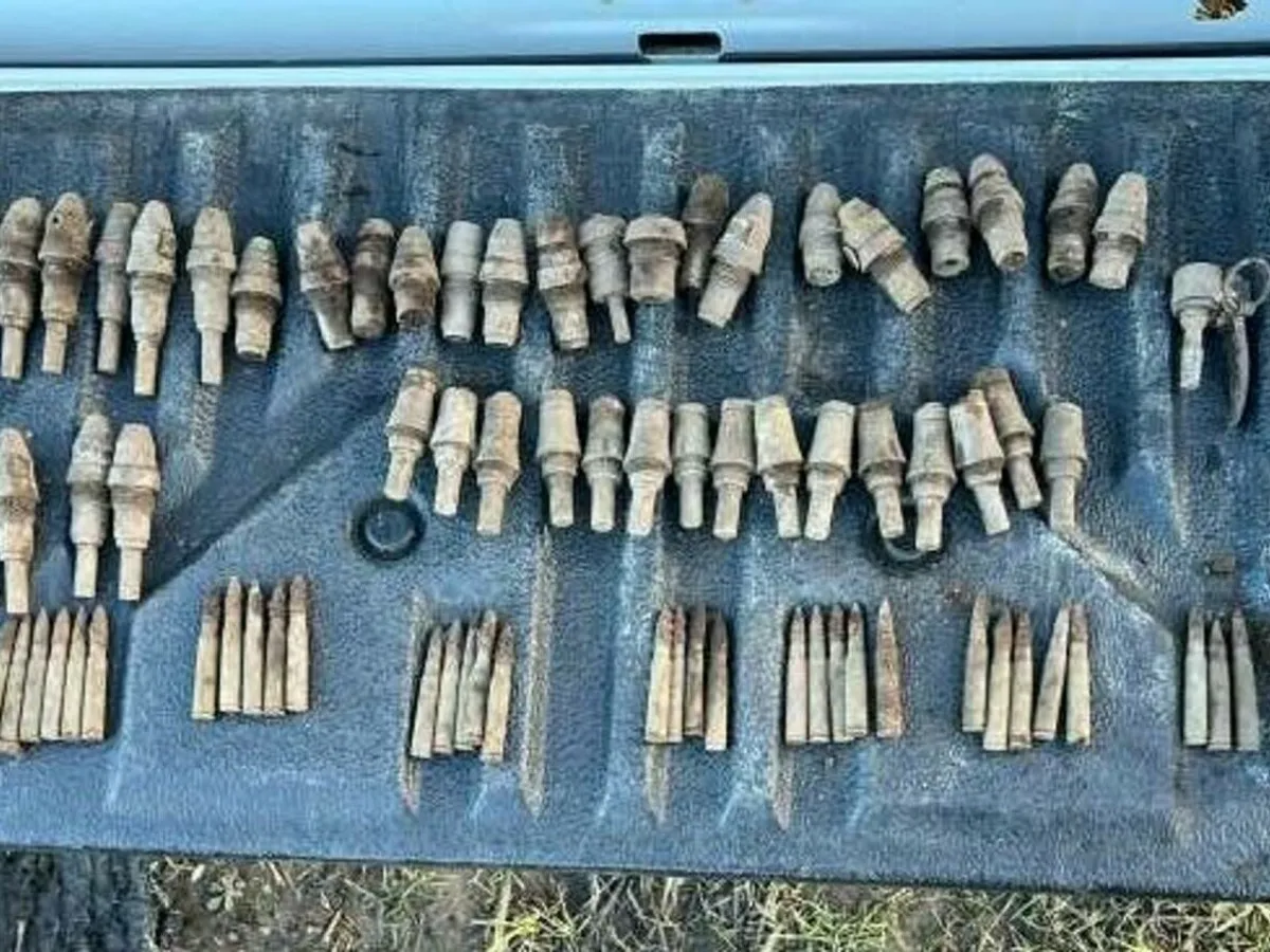 Ce s-a descoperit într-o pădure din Vaslui cu ajutorul unui detector de metale. A fost alertă - Foto: ISU Iași