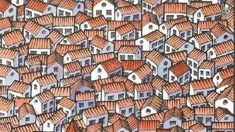 Al doilea test cu pisica