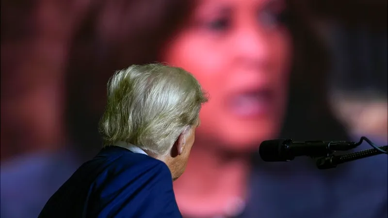 Alegeri prezindețiale în SUA, pe 5 noiembrie. Harris și Trump, aproape la egalitate: 44%-43% - Foto: Profimedia Images - Imagine cu rol ilustrativ