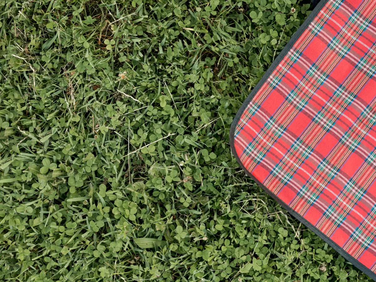 Covor Foto: Freepik (imagine cu rol ilustrativ)