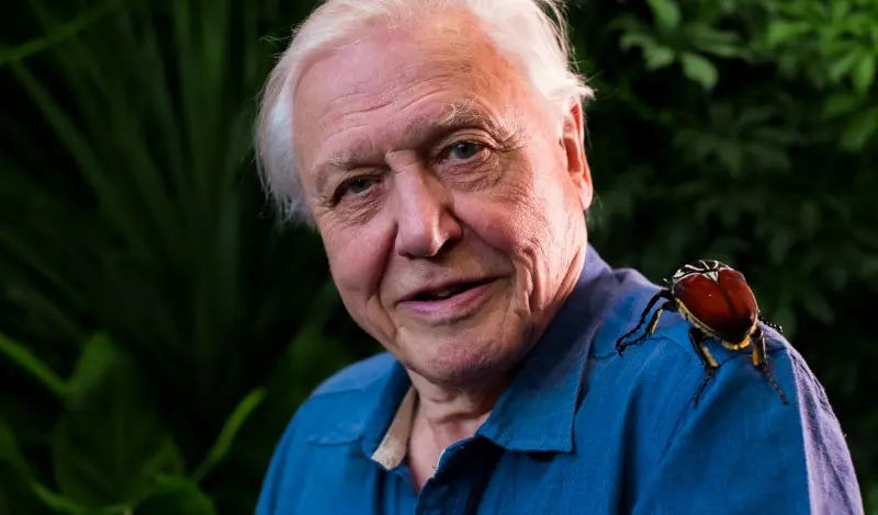 David Attenborough/FOTO: BBC