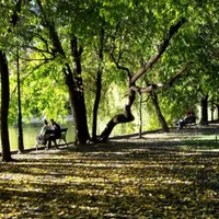 Lucrătorii Primăriei curăță Cișmigiul, după ce l-au lăsat în paragină. FOTO: Facebook